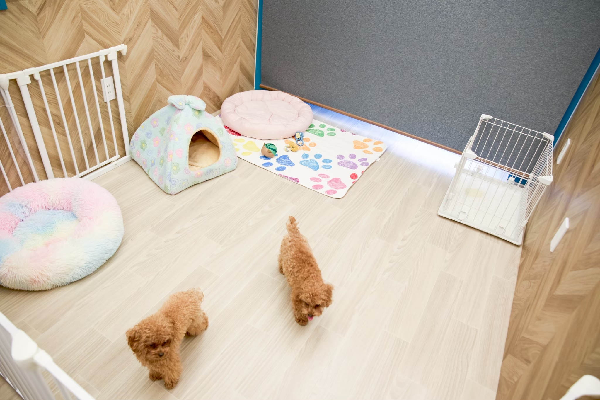 プレイスペース