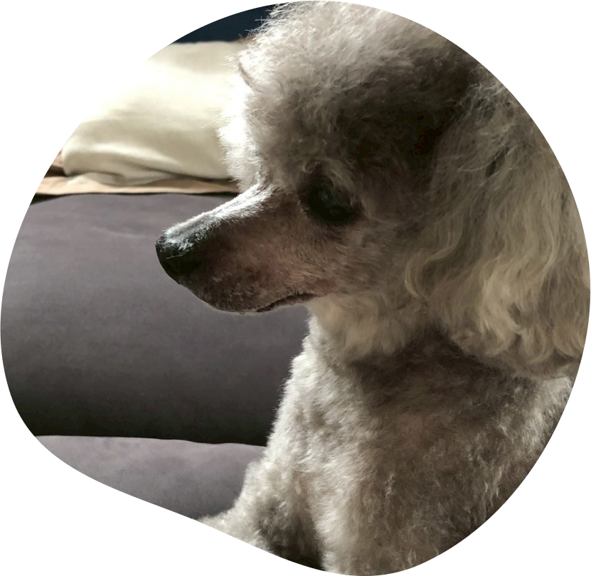 フロア貸切プラン